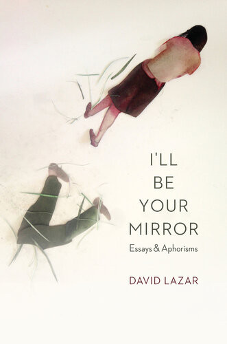 Ill Be Your Mirror Essays And Aphorisms David Lazar