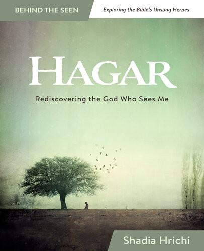 Hagar Rediscovering The God Who Sees Me Shadia Hrichi