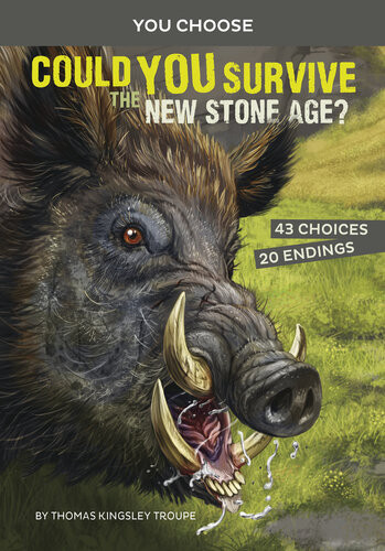 Could You Survive The New Stone Age An Interactive Prehistoric Adventure Thomas Kingsley Troupe