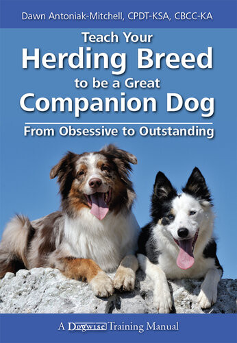 Teach Your Herding Breed To Be A Great Companion Dog From Obsessive To Outstanding Dawn Antoniakmitchell