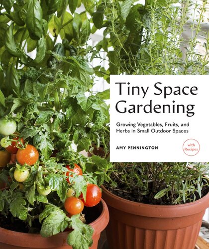 Tiny Space Gardening Growing Vegetables Fruits And Herbs In Small Outdoor Spaces Amy Pennington