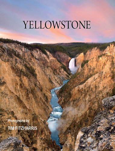 Yellowstone Tracy C Read
