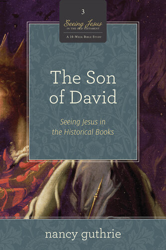 The Son Of David A 10week Bible Study Seeing Jesus In The Historical Books Nancy Guthrie