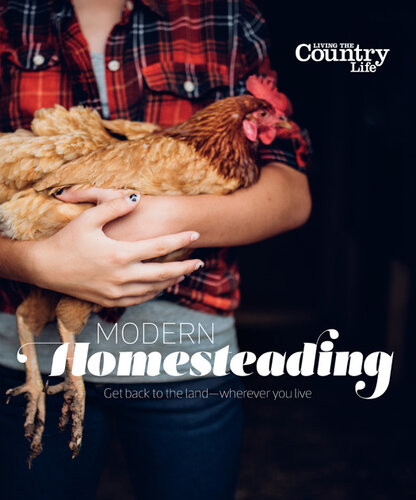 Modern Homesteading Get Back To The Land Wherever You Live Living The Country Life