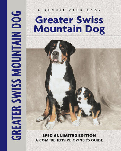 Greater Swiss Mountain Dog Nikki Moustaki