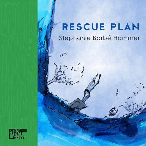 Rescue Plan Stephanie Barbé Hammer