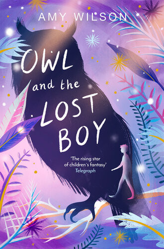 Owl And The Lost Boy Amy Wilson