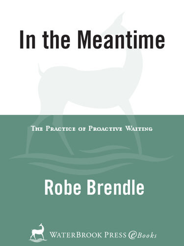 In The Meantime The Practice Of Proactive Waiting Rob Brendle