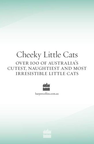 Cheeky Little Cats Various