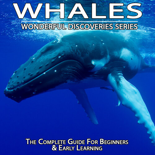 Whales Wonderful Discoveries Shannon Hale