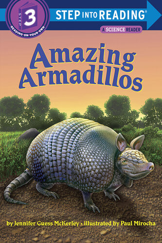 Amazing Armadillos Jennifer Mckerley