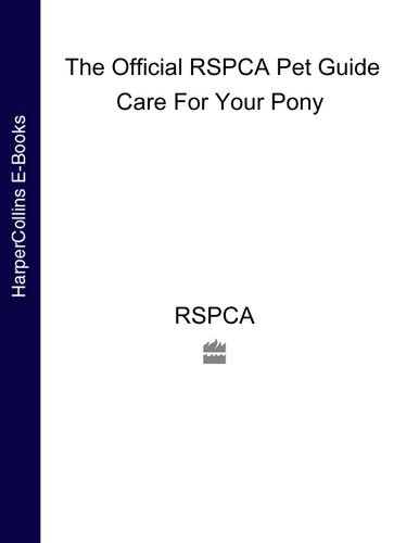 Care For Your Pony Rspca