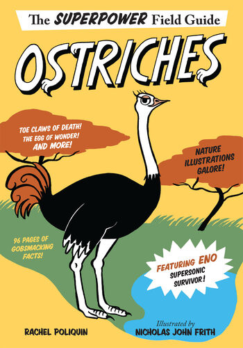 Ostriches Rachel Poliquin
