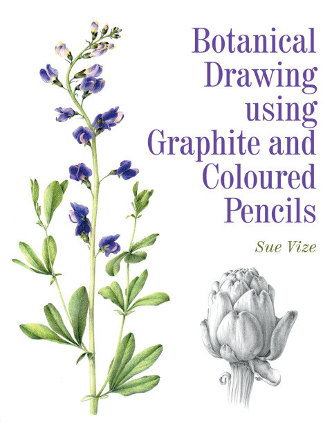Botanical Drawing Using Graphite And Coloured Pencils 1st Edition Vize