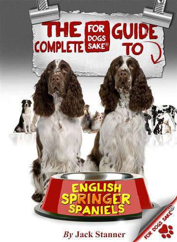 The Complete Guide To English Springer Spaniel Jack Stanner