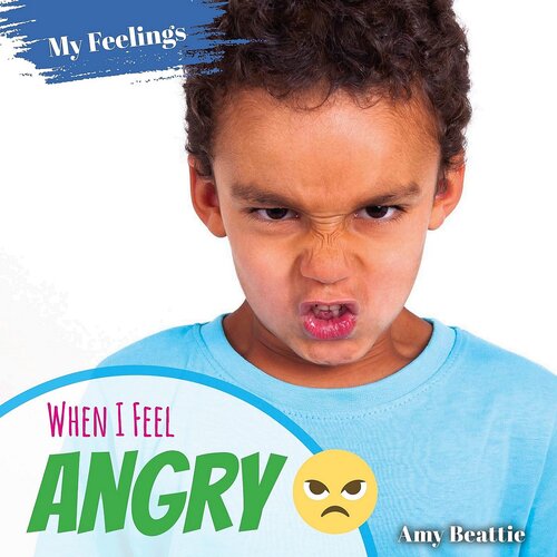 When I Feel Angry Amy Beattie