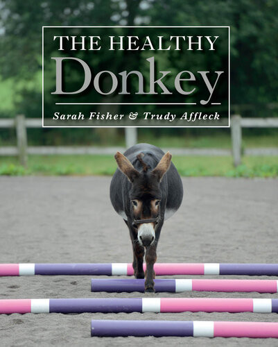 Healthy Donkey Sarah Fisher Trudy Affleck Trudy Affleck