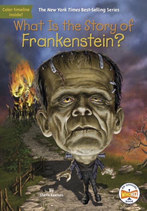 What Is The Story Of Frankenstein 1st Edition Sheila Keenan
