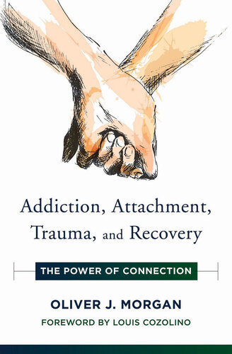 Addiction Attachment Trauma And Recovery The Power Of Connection Norton Series On Interpersonal Neurobiology Oliver J Morgan