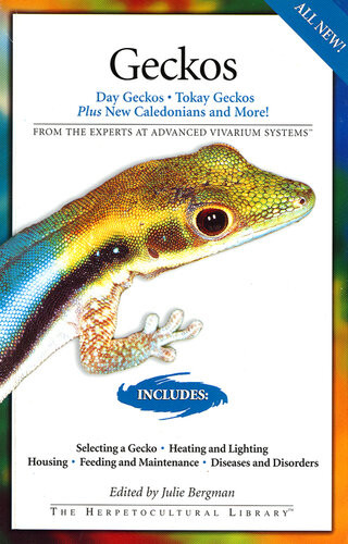 Geckos Day Geckos Tokay Geckos Plus New Caledonians And More Juile Bergman