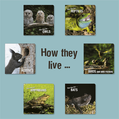 How They Live Learn All There Is To Know About Animals David Withrington Ivan Esenko