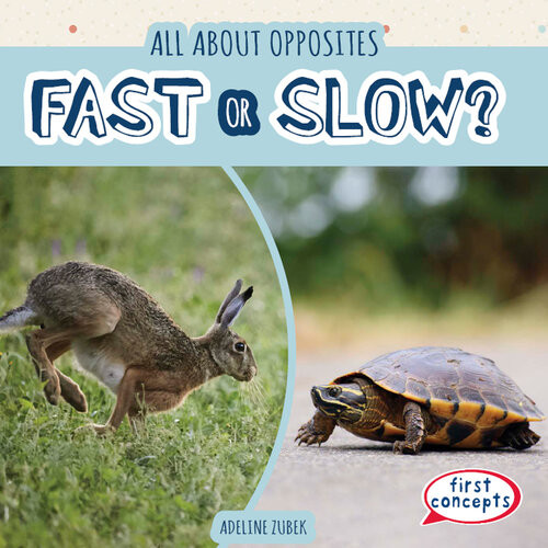 Fast Or Slow Adeline Zubek