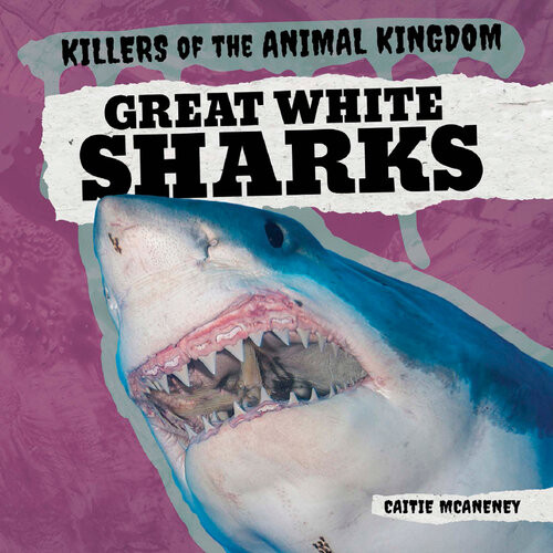 Great White Sharks Caitie Mcaneney