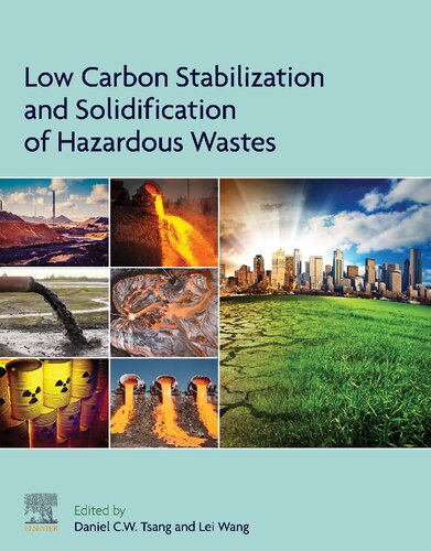 Low Carbon Stabilization And Solidification Of Hazardous Wastes Daniel Cw Tsang Lei Wang
