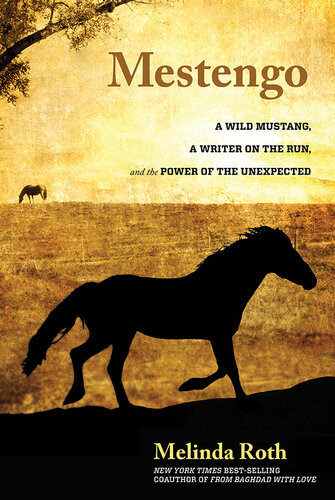 Mestengo A Wild Mustang A Writer On The Run And The Power Of The Unexpected Melinda Roth