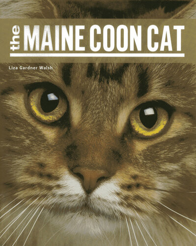 The Maine Coon Cat Liza Gardner Walsh