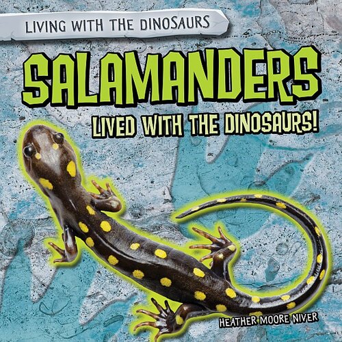 Salamanders Lived With The Dinosaurs Heather Moore Niver