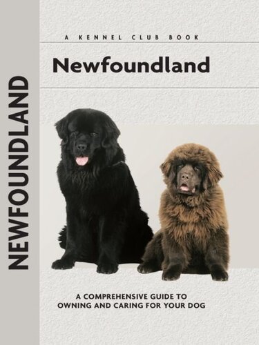 Newfoundland Angela Barlowe