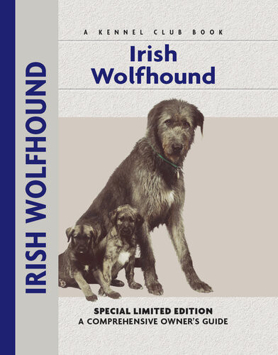Irish Wolfhound Alice Kane