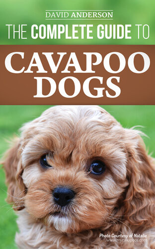 The Complete Guide To Cavapoo Dogs Everything You Need To Know To Sucessfully Raise And Train Your New Cavapoo Puppy David Anderson