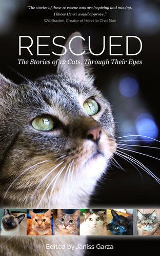 Rescued The Stories Of 12 Cats Through Their Eyes Janiss Garza