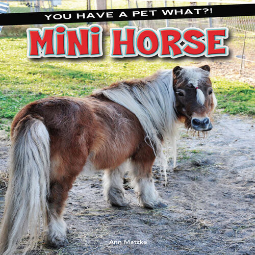 Mini Horse Ann Matzke