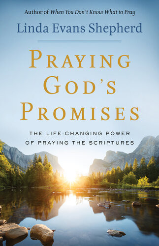 Praying Gods Promises The Lifechanging Power Of Praying The Scriptures Linda Evans Shepherd