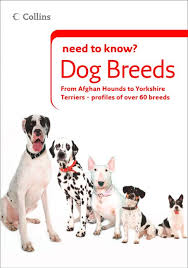 Dog Breeds Collins Need To Know Collins