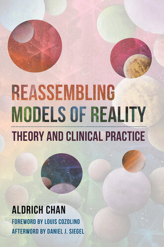 Reassembling Models Of Reality Theory And Clinical Practice Norton Series On Interpersonal Neurobiology Aldrich Chan