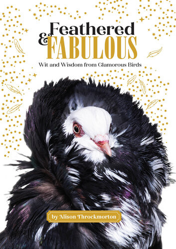 Feathered Fabulous Alison Throckmorton