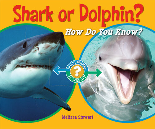Shark Or Dolphin Melissa Stewart