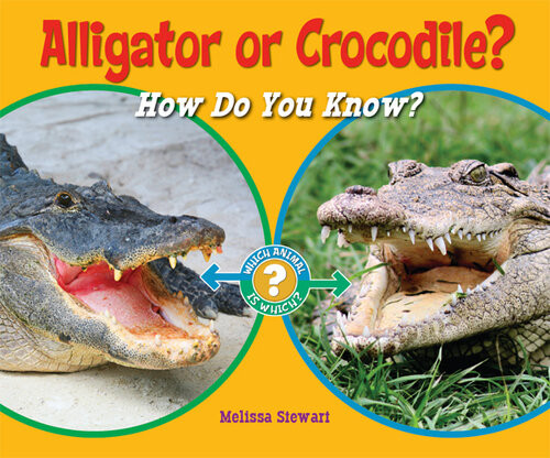 Alligator Or Crocodile Melissa Stewart
