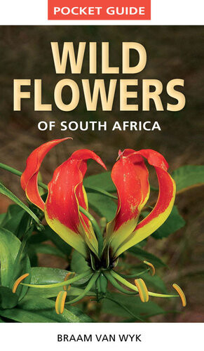 Pocket Guide To Wildflowers Of South Africa Braam Van Wyk