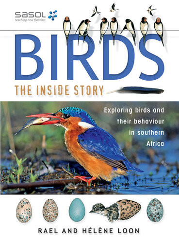 Birds Rael Loon
