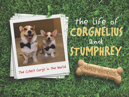 The Life Of Corgnelius And Stumphrey The Cutest Corgis In The World Susie Brooks