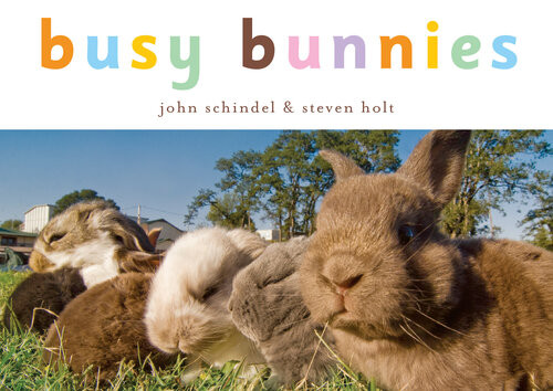 Busy Bunnies John Schindel