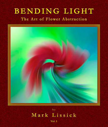 Bending Light The Fine Art Of Flower Abstraction Mark Lissick
