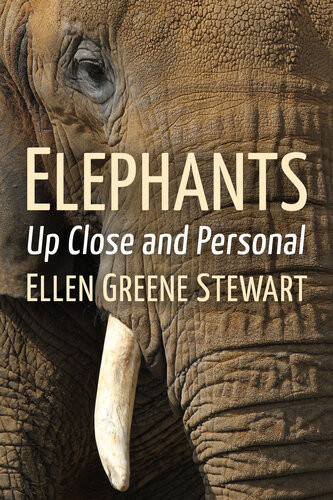 Elephants Up Close And Personal Ellen Greene Stewart
