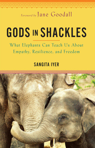 Gods In Shackles What Elephants Can Teach Us About Empathy Resilience And Freedom Sangita Iyer