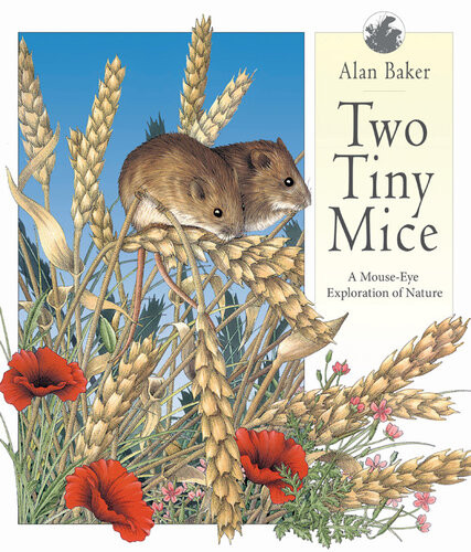 Two Tiny Mice A Mouseeye Exploration Of Nature Alan Baker